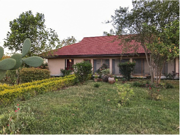 cottage